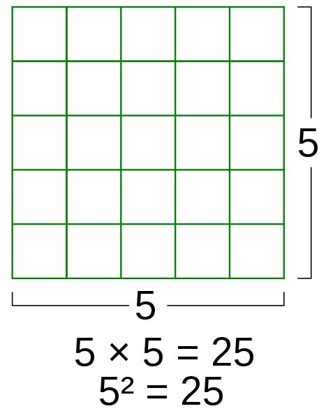 Buying Guide: Five Square (